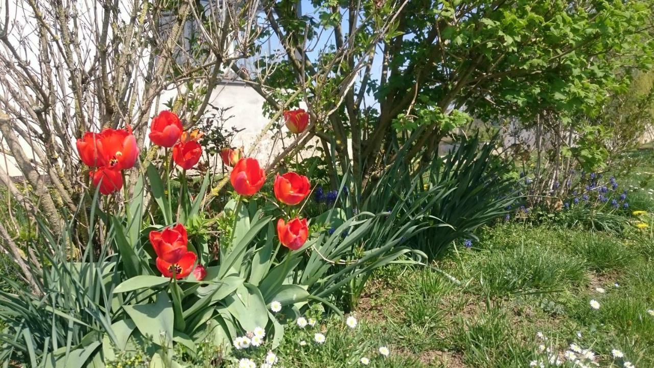 Grand Studio Entre Saone Et Vignes Treclun Eksteriør billede